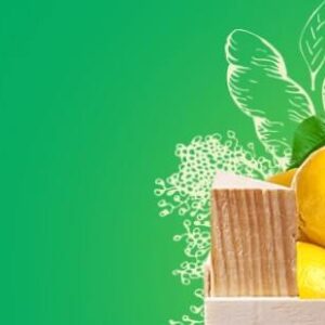 Fresh Organic Pickles 400 g