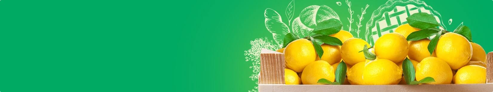 Fresh Organic Pickles 400 g