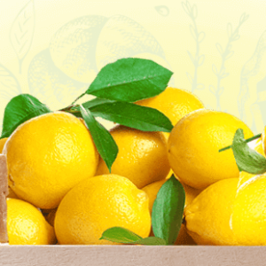 Organic Potato Bio 2 kg