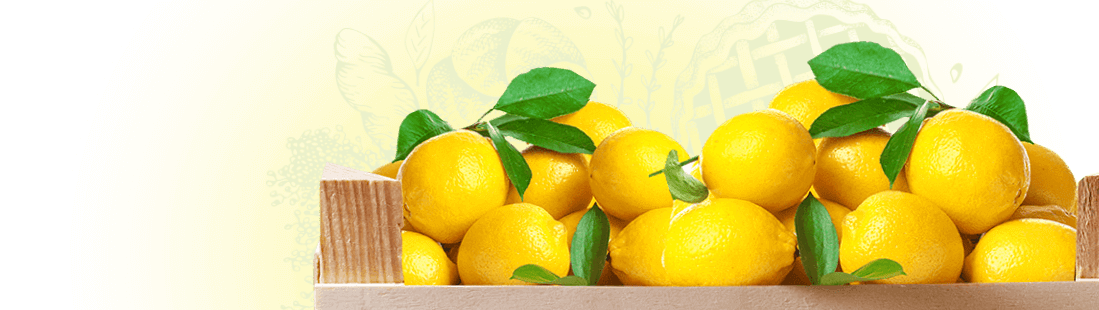 Organic Potato Bio 2 kg